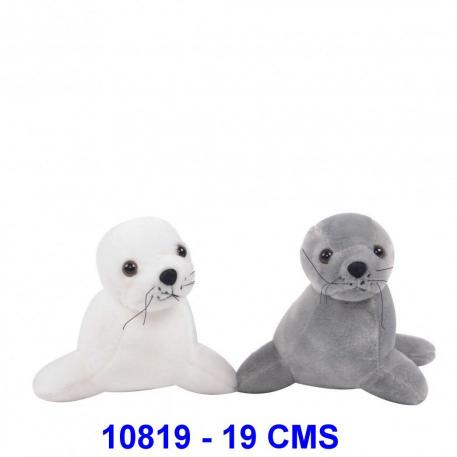 FOCA 30 CMS