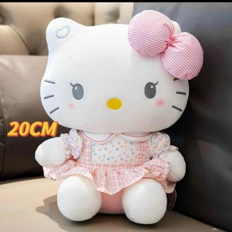 HELLO KITTI 20 CMS