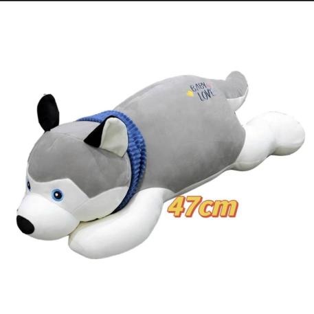 PERRO 47 CMS