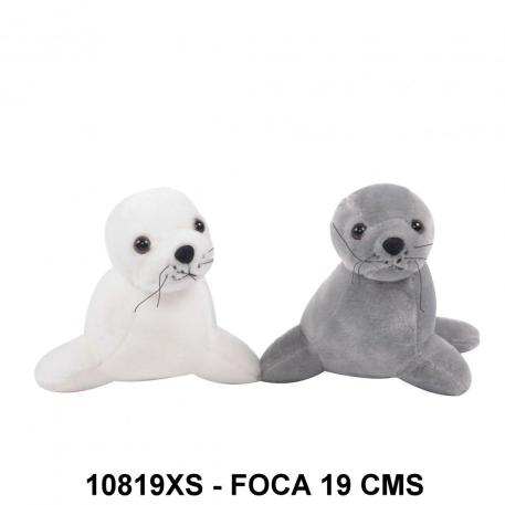 FOCA 19 CMS