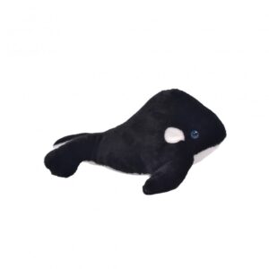 ORCA 19CMS