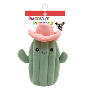 CACTUS 25CMS MASCOTA
