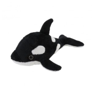 ORCA 19CMS