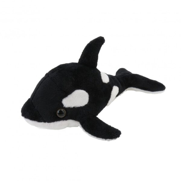 ORCA 19CMS