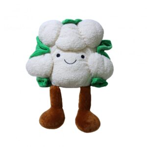 COLIFLOR 50CMS