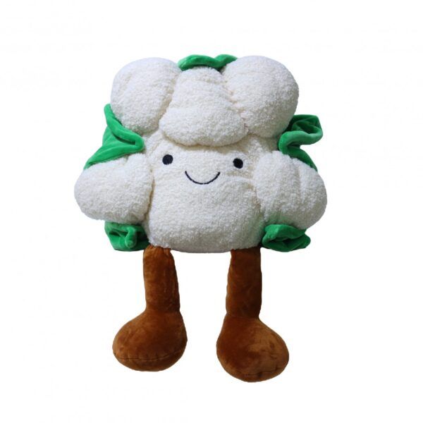 COLIFLOR 50CMS