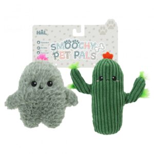 CACTUS 20CMS (MASCOTAS)