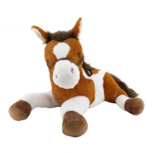 CABALLO 66CMS